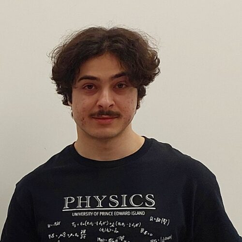 Behzad Seyyedi Viand