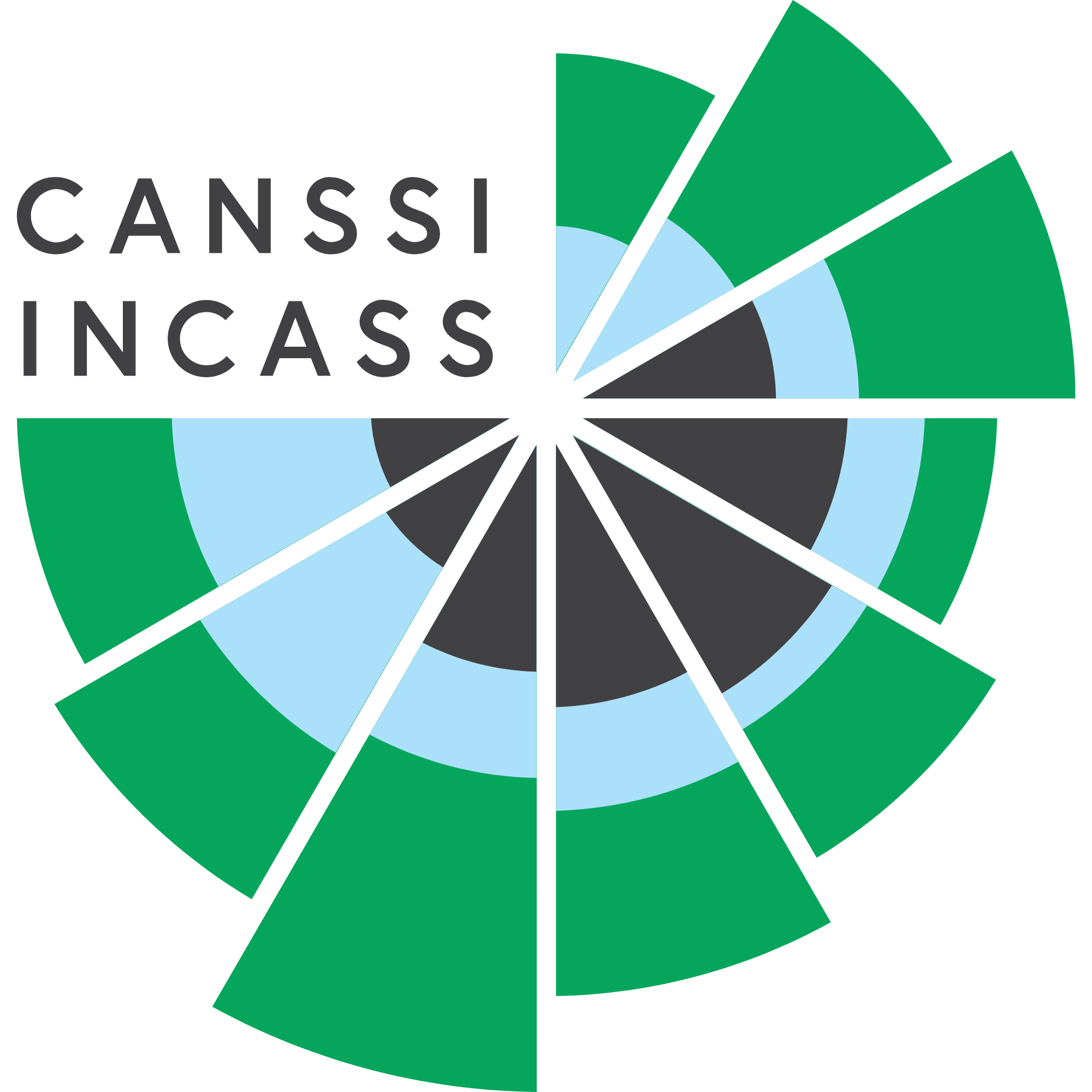 Canadian Statistical Sciences Institute