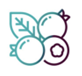 Nutrition and Foods Division Logo