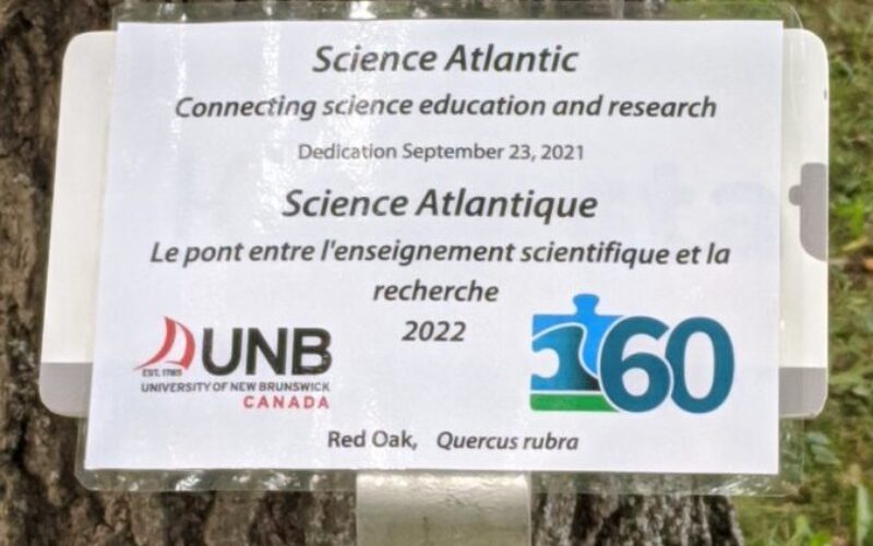 E__4AKRUYAQfsuc University of New Brunswick, Fredericton